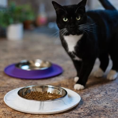 חתולים מבולגנים מזין סיליקון יחיד עם קערה בצורת צלוחית | קערת מזון לחתולים נגד החלקה לא החלקה | קערת חתול אחת בתחנת האכלה/מים | 1.75 כוסות
